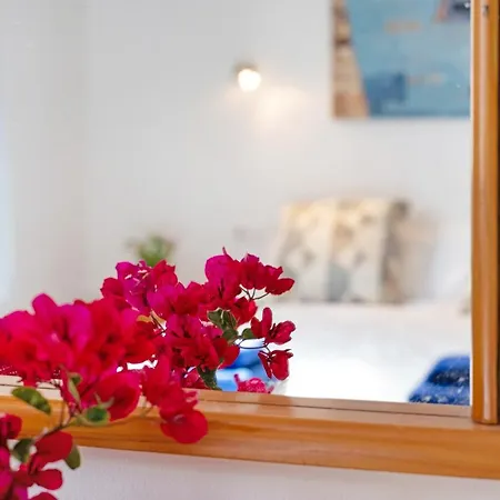 Puerto Chico X プラヤ・ブランカ